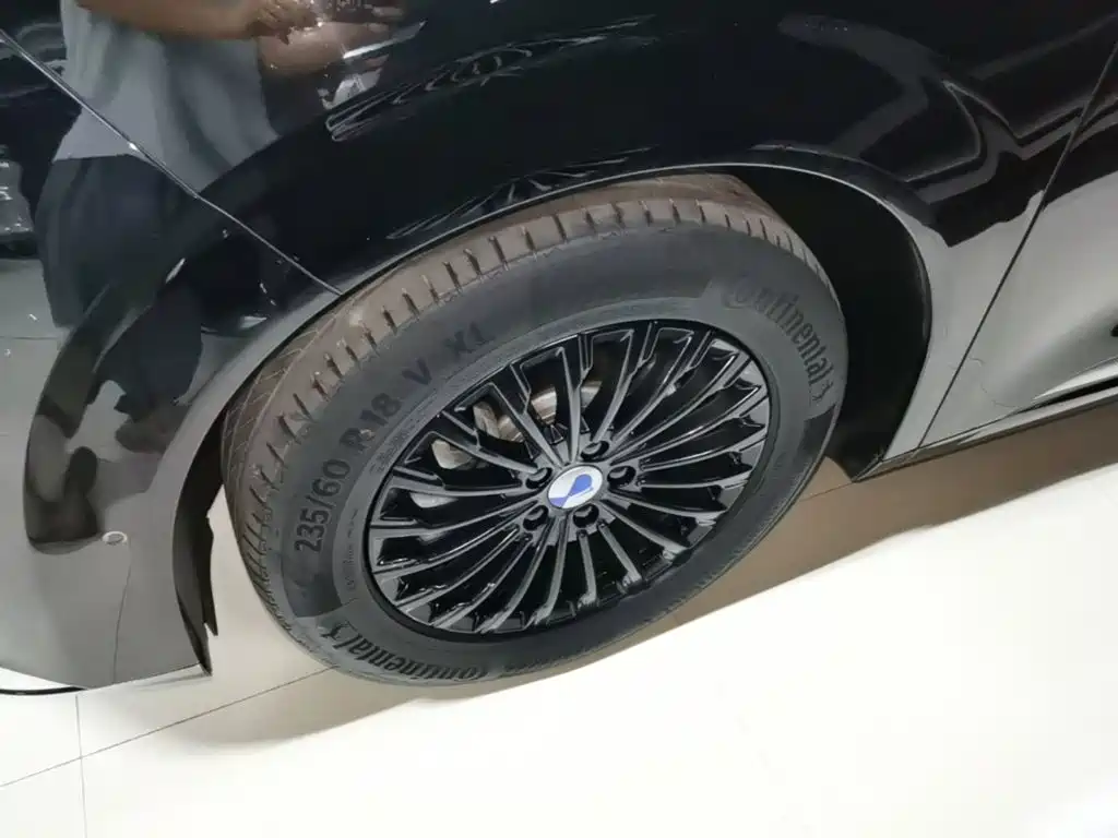 Denza Denza D9 — миниатюра 23