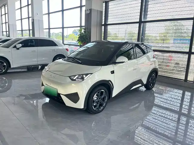 2026 BYD Seagull