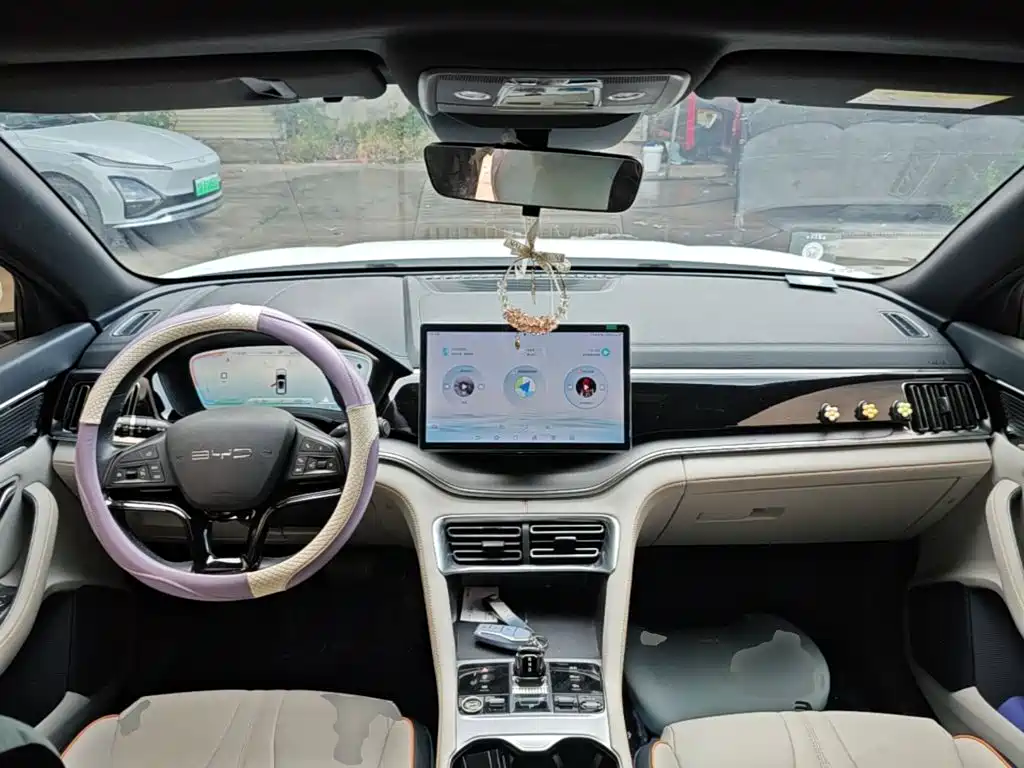 BYD PLUS New Energy — миниатюра 10