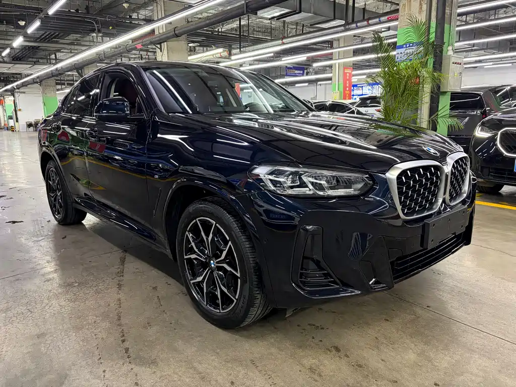 BMW X4 — миниатюра 2