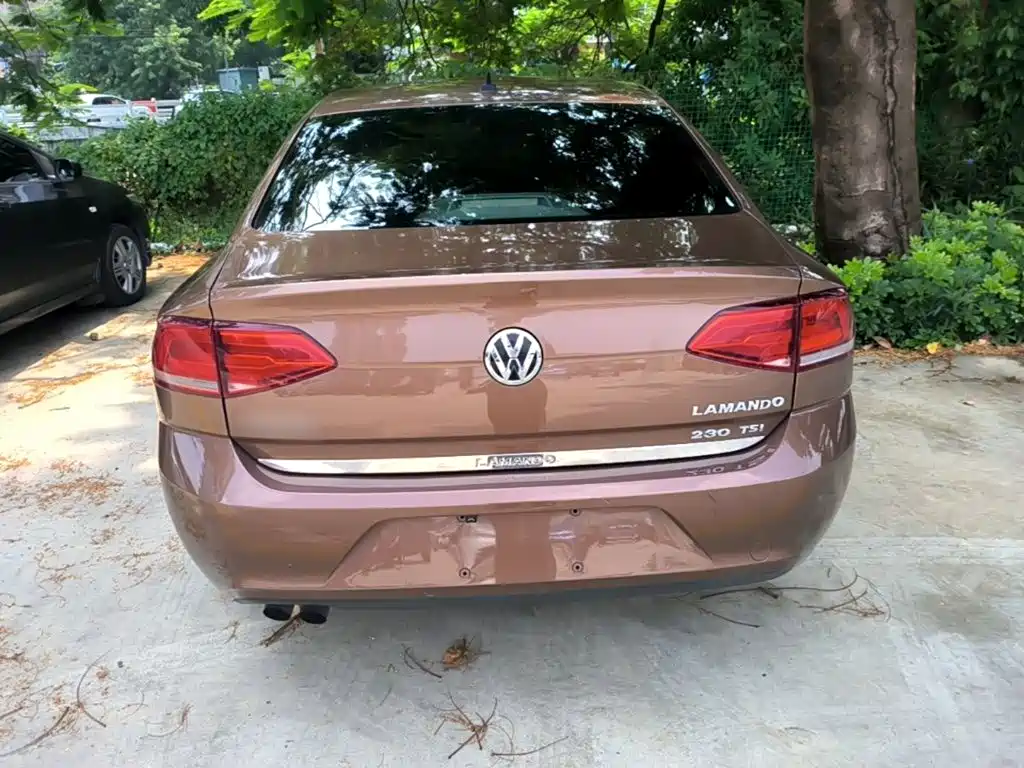 Volkswagen Lamando — миниатюра 6