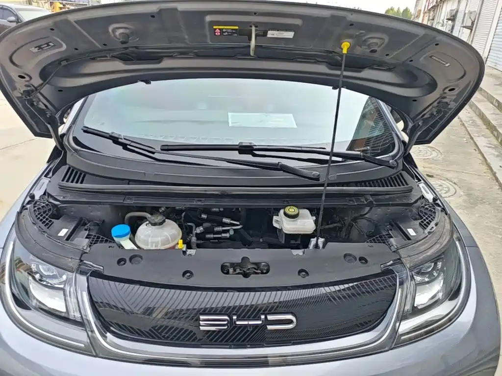 BYD Dolphin — миниатюра 20