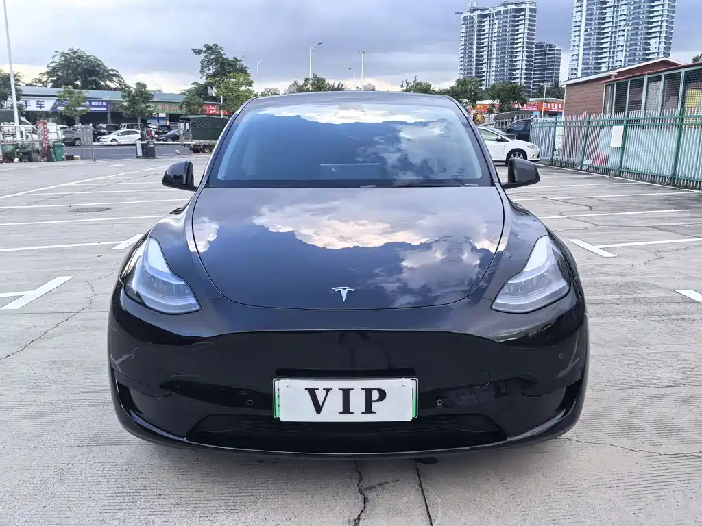 Tesla Model Y — миниатюра 3