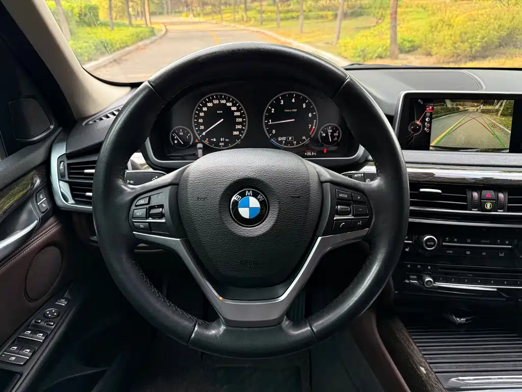 BMW X5 (Import) — миниатюра 26