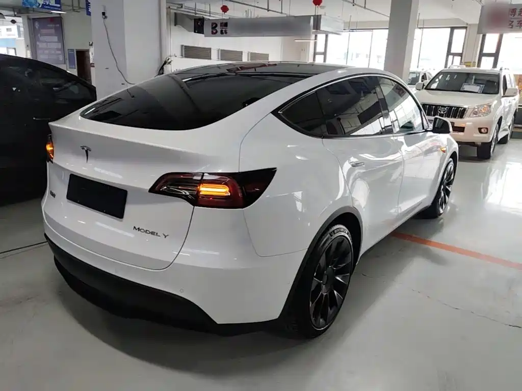 Tesla Model Y — миниатюра 7