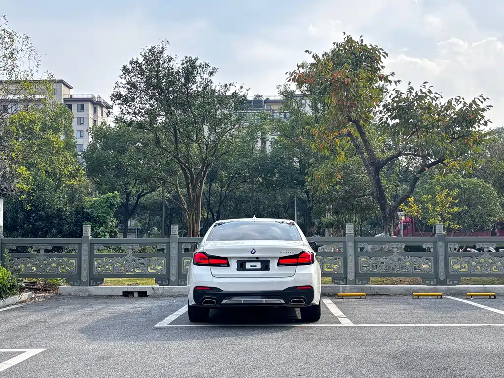 BMW 5 Series — миниатюра 5