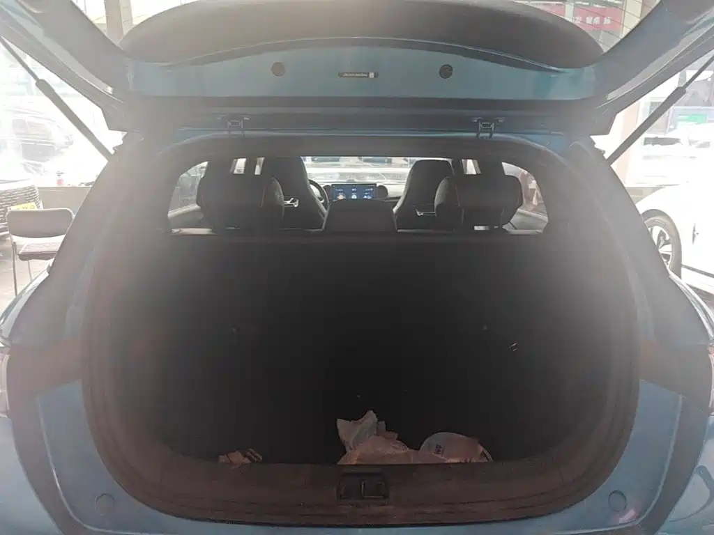 BYD Dolphin — миниатюра 19