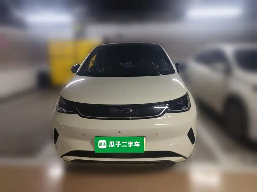 BYD Dolphin — миниатюра 2