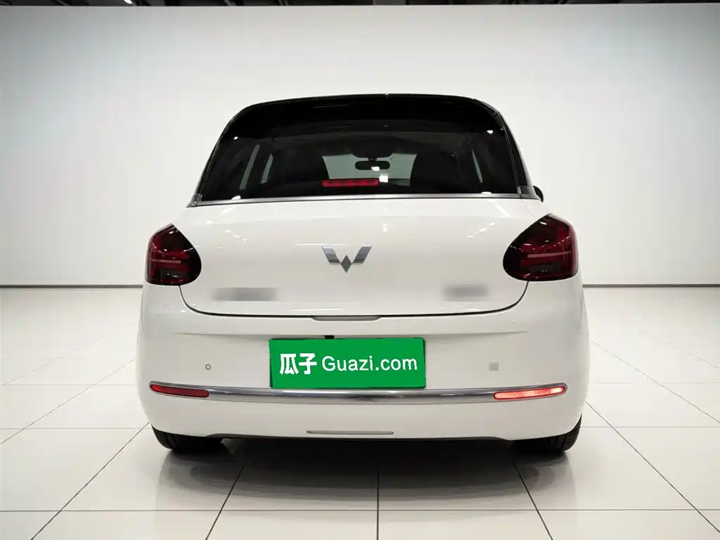 Wuling Binguo 2023 333km Enjoy +
