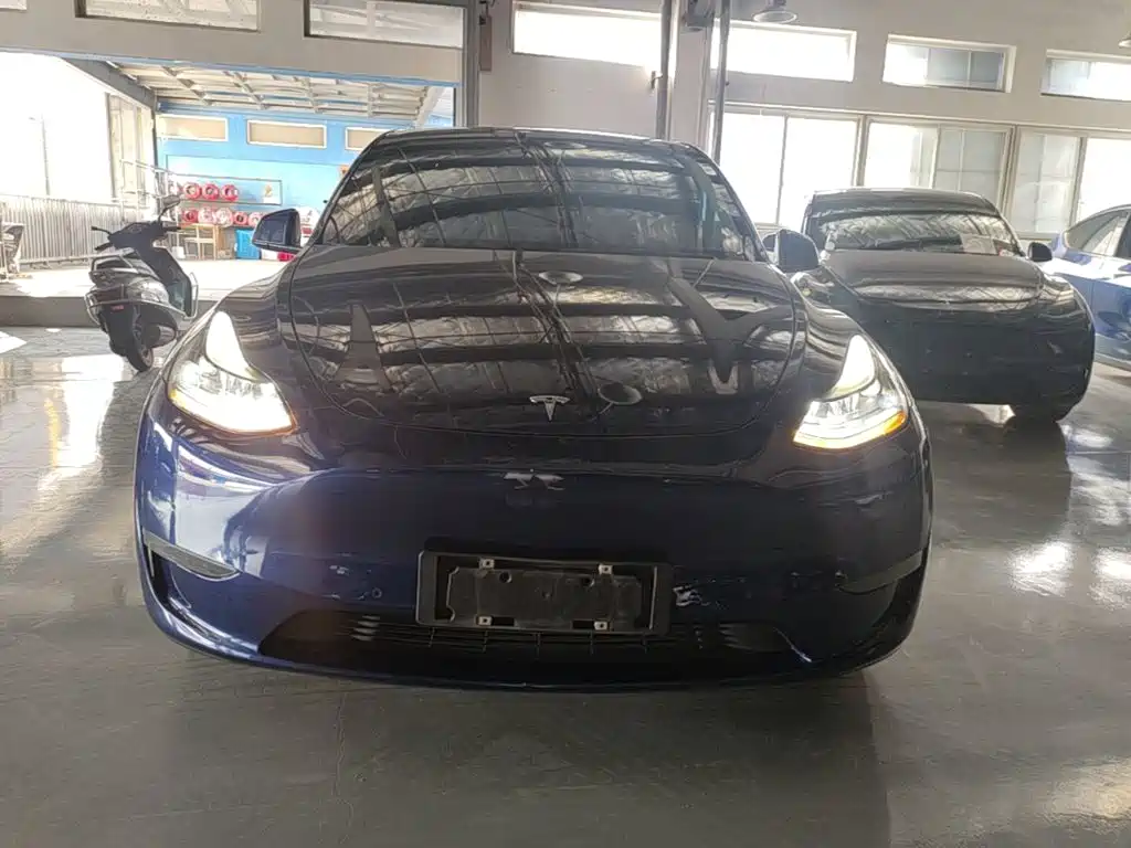 Tesla Model Y — миниатюра 3
