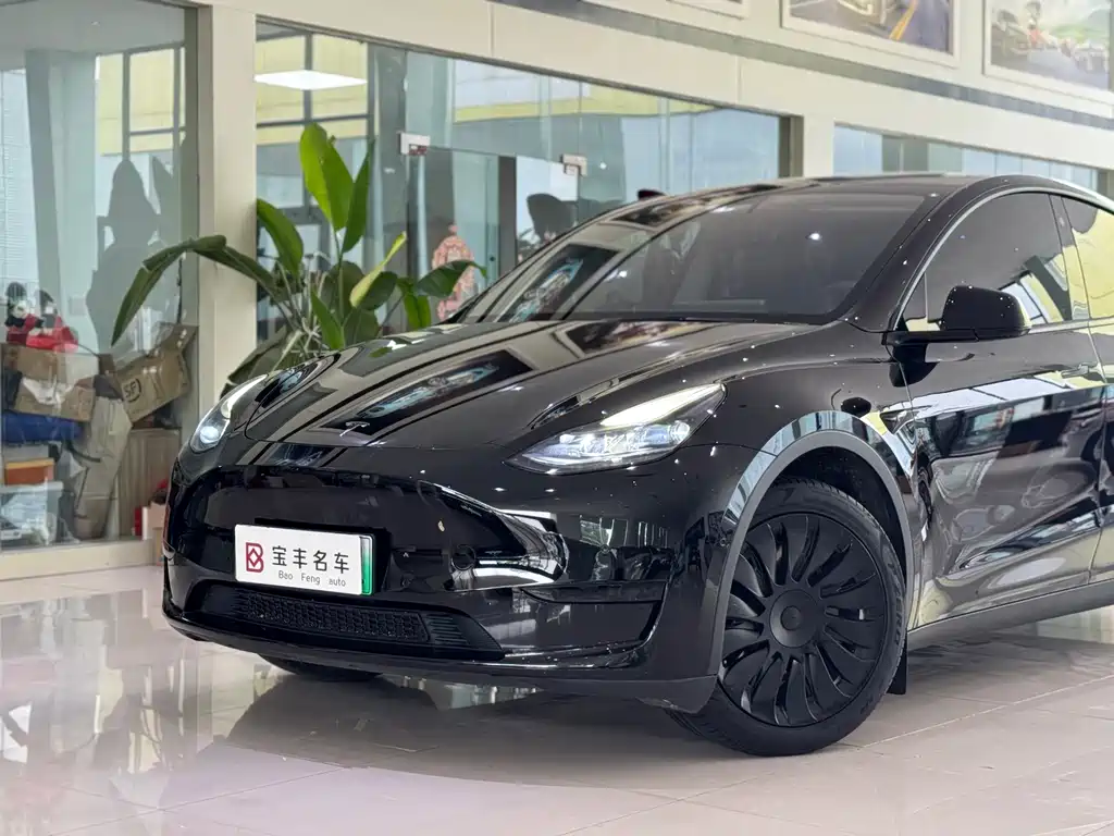 Tesla Model Y — миниатюра 12