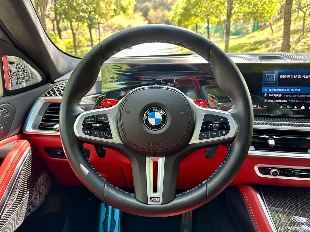 BMW X6 M
