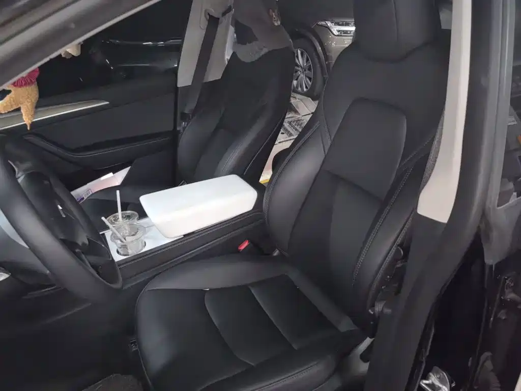 Tesla Model Y — миниатюра 8