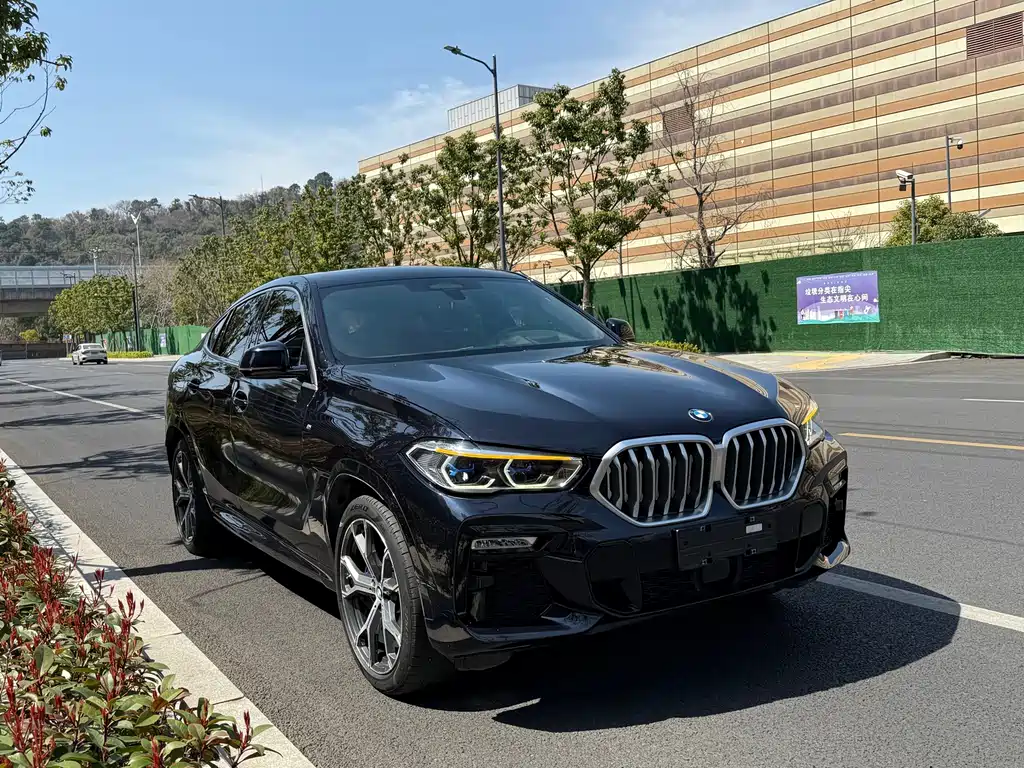 BMW X6 — миниатюра 6