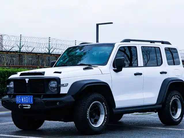 2023 TANK 300