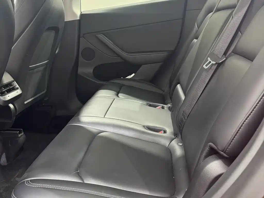 Tesla Model Y — миниатюра 8