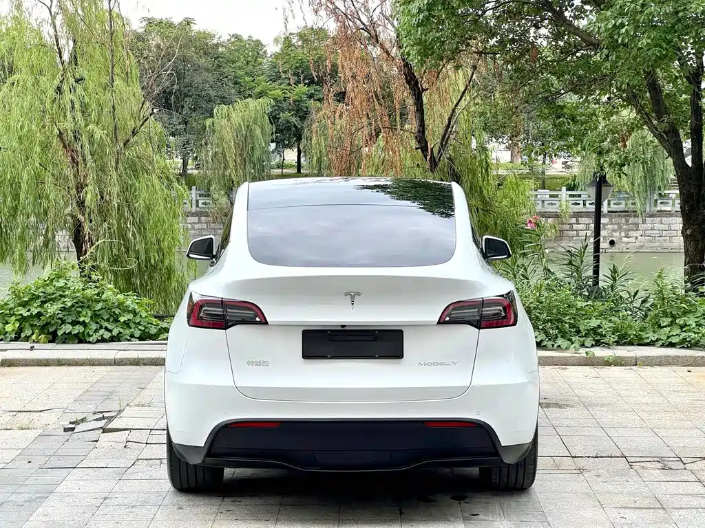 Tesla Model Y — миниатюра 8