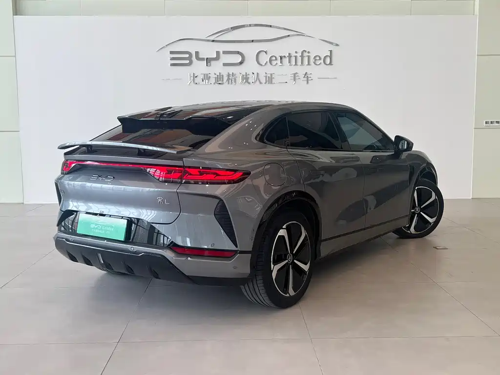 BYD L EV — миниатюра 17