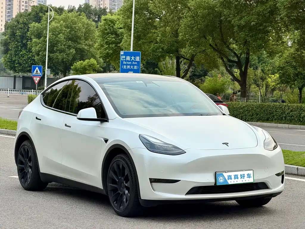 Tesla Model Y — миниатюра 3
