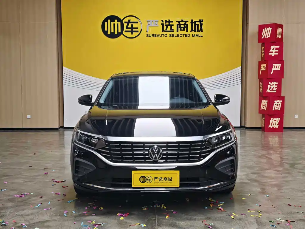 Volkswagen Passat — миниатюра 2