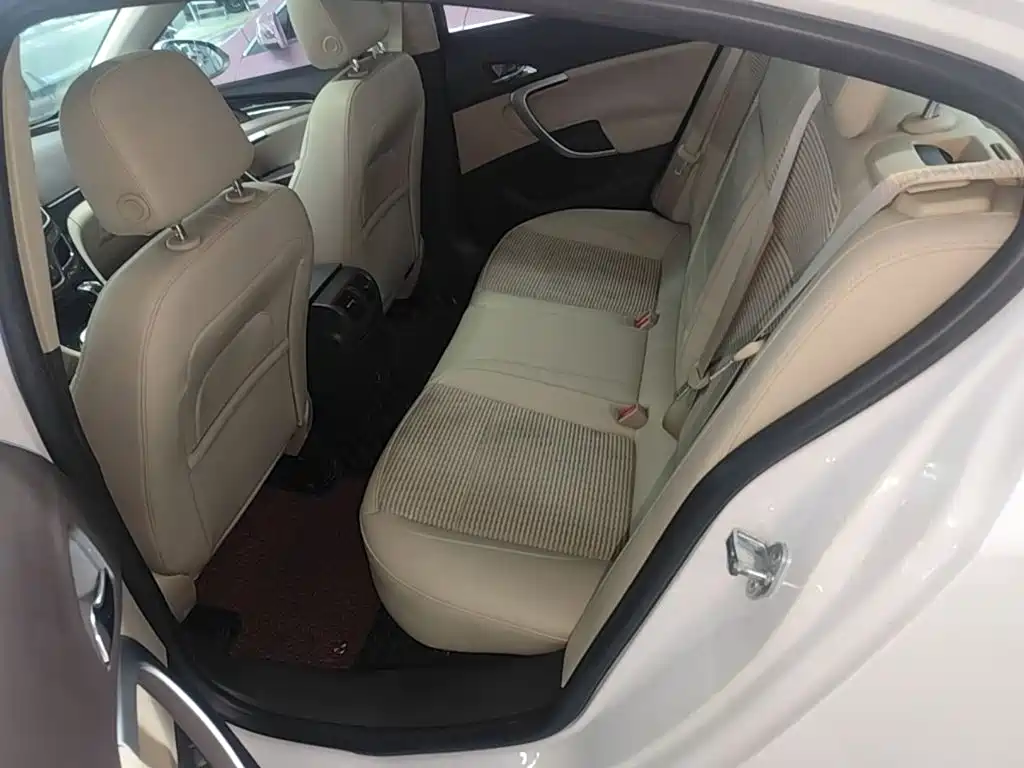 Buick Regal — миниатюра 17