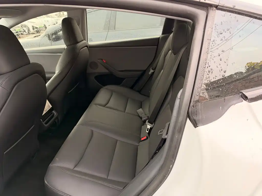 Tesla Model 3 — миниатюра 4