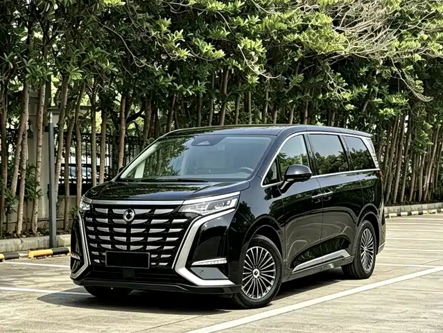 2024 Denza D9