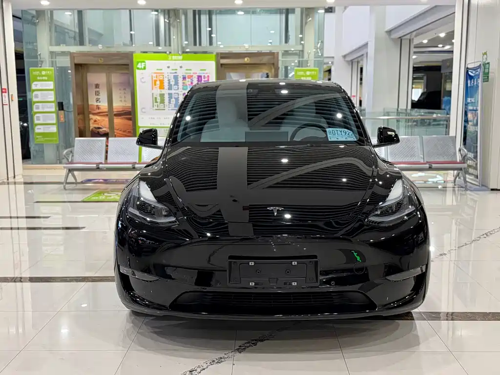 Tesla Model Y — миниатюра 2