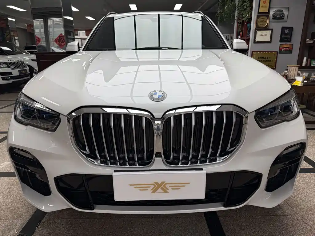 BMW X5 (Import) — миниатюра 2
