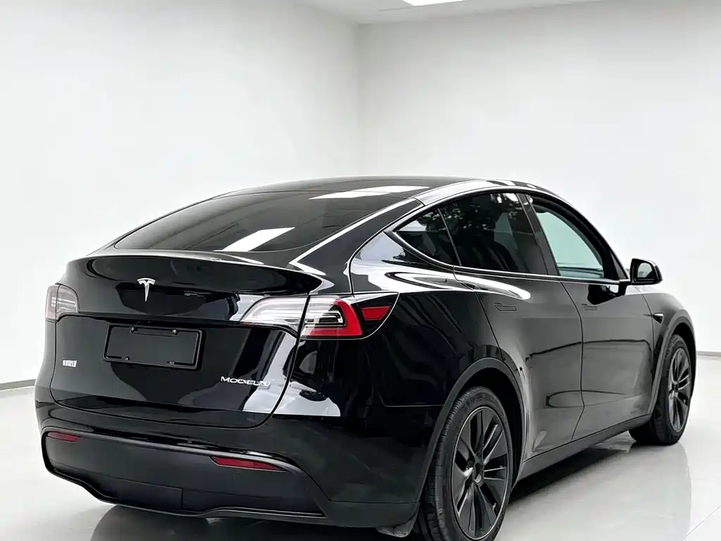 Tesla Model Y — миниатюра 8