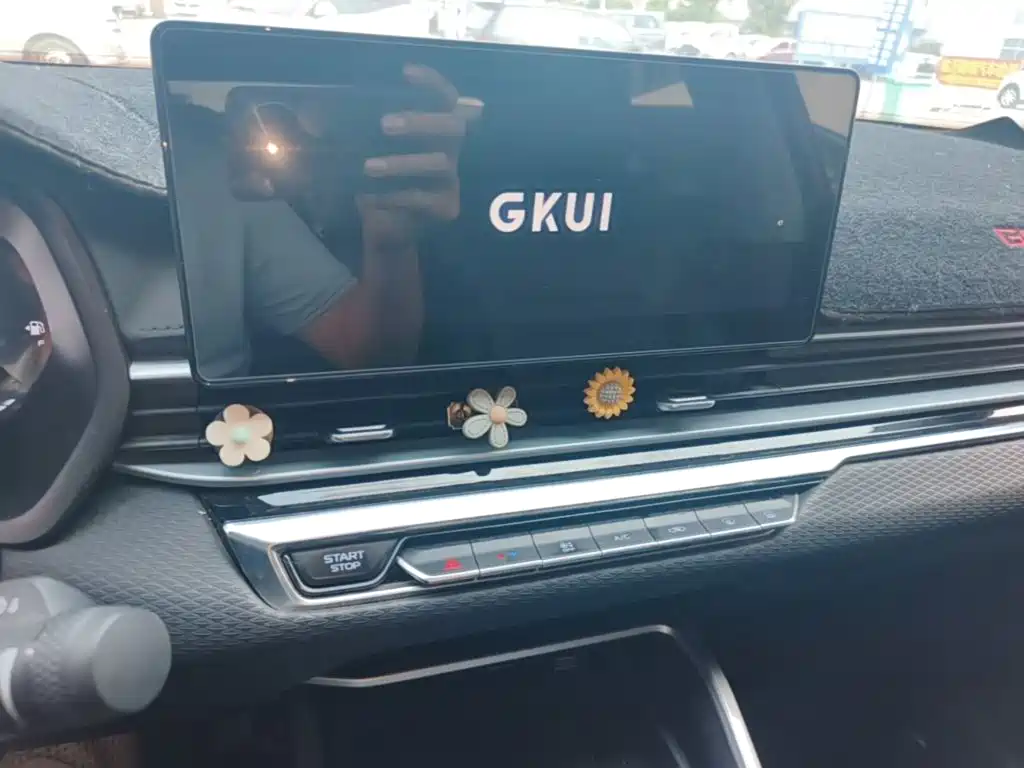 Geely Emgrand — миниатюра 13