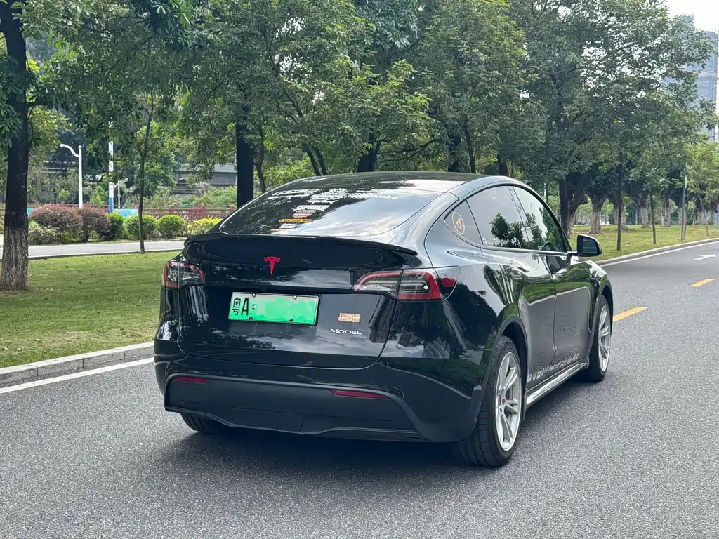 Tesla Model Y — миниатюра 3