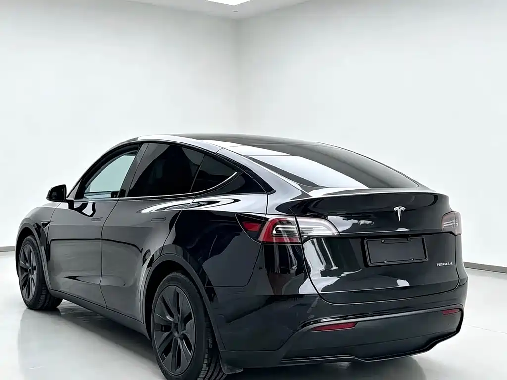 Tesla Model Y — миниатюра 7