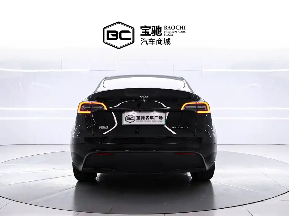 Tesla Model Y — миниатюра 4