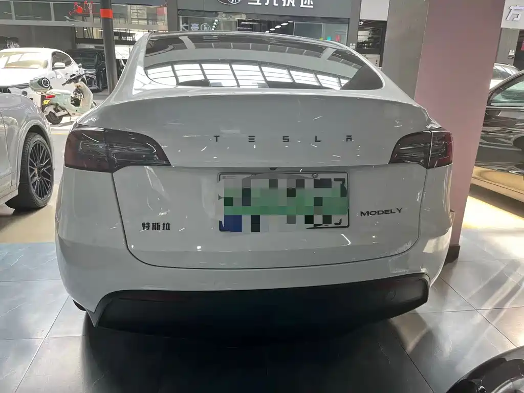Tesla Model Y — миниатюра 13