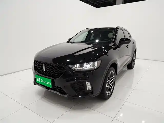 2018 Wey VV5