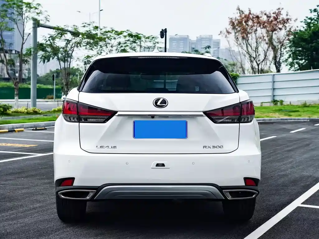 Lexus RX 2020 300 Elegant