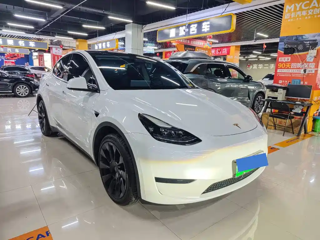 Tesla Model Y — миниатюра 2