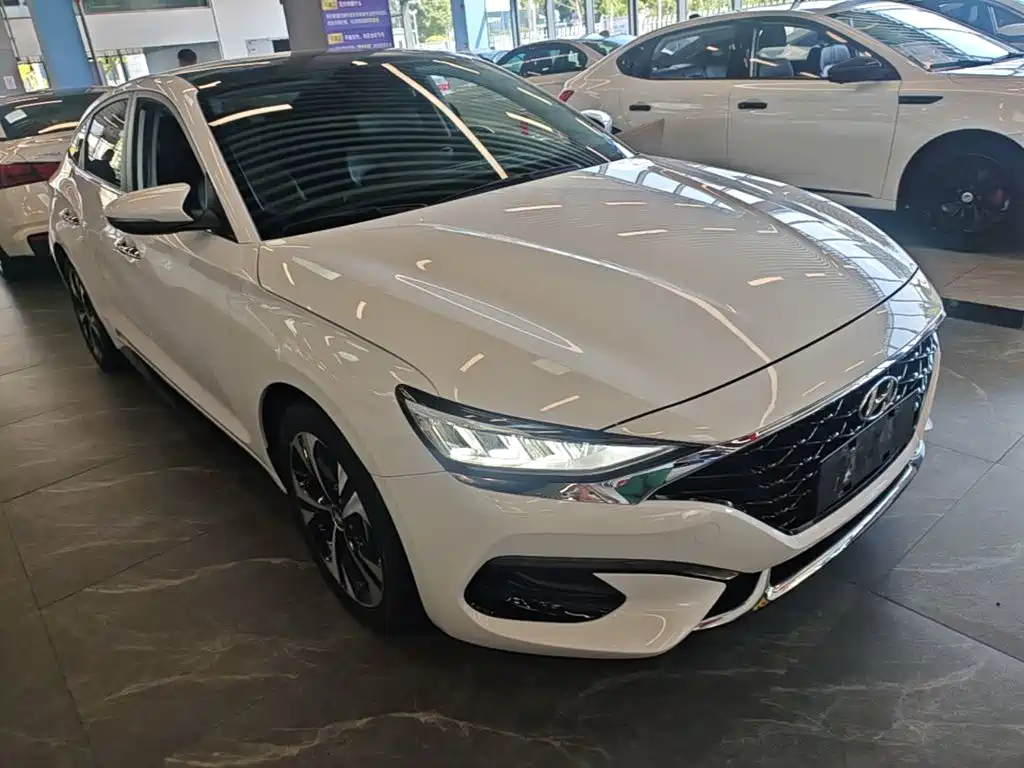 Hyundai Fista — миниатюра 4