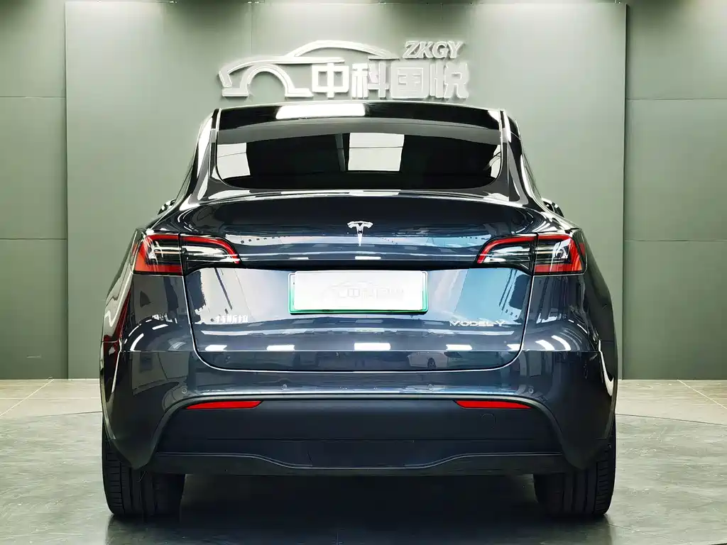 Tesla Model Y — миниатюра 6