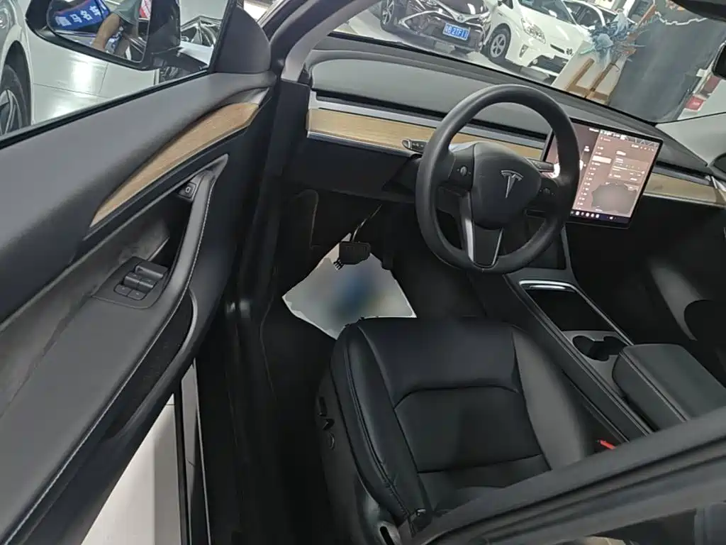 Tesla Model Y — миниатюра 16