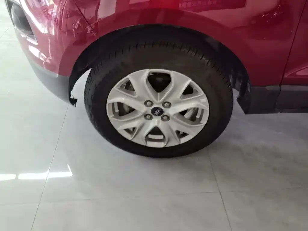 Ford Ecosport — миниатюра 23