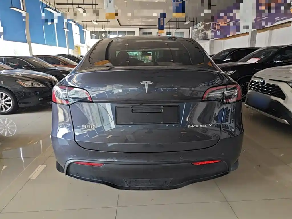 Tesla Model Y — миниатюра 6