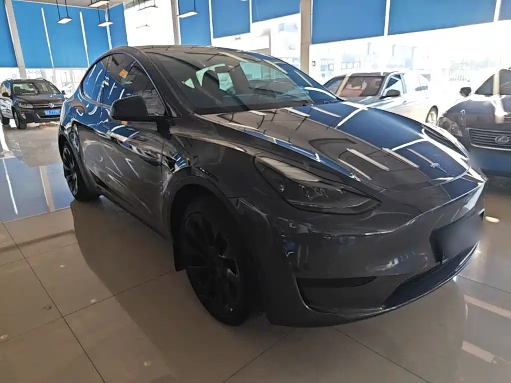 Tesla Model Y — миниатюра 4