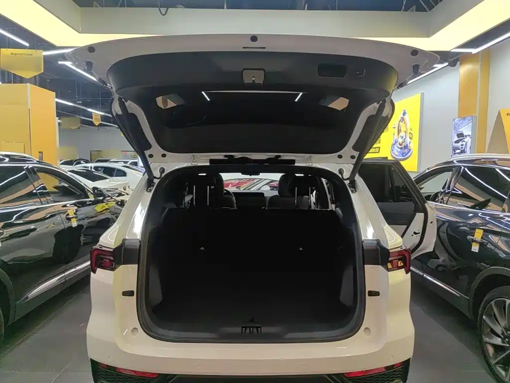 Ford Equator Sport — миниатюра 19