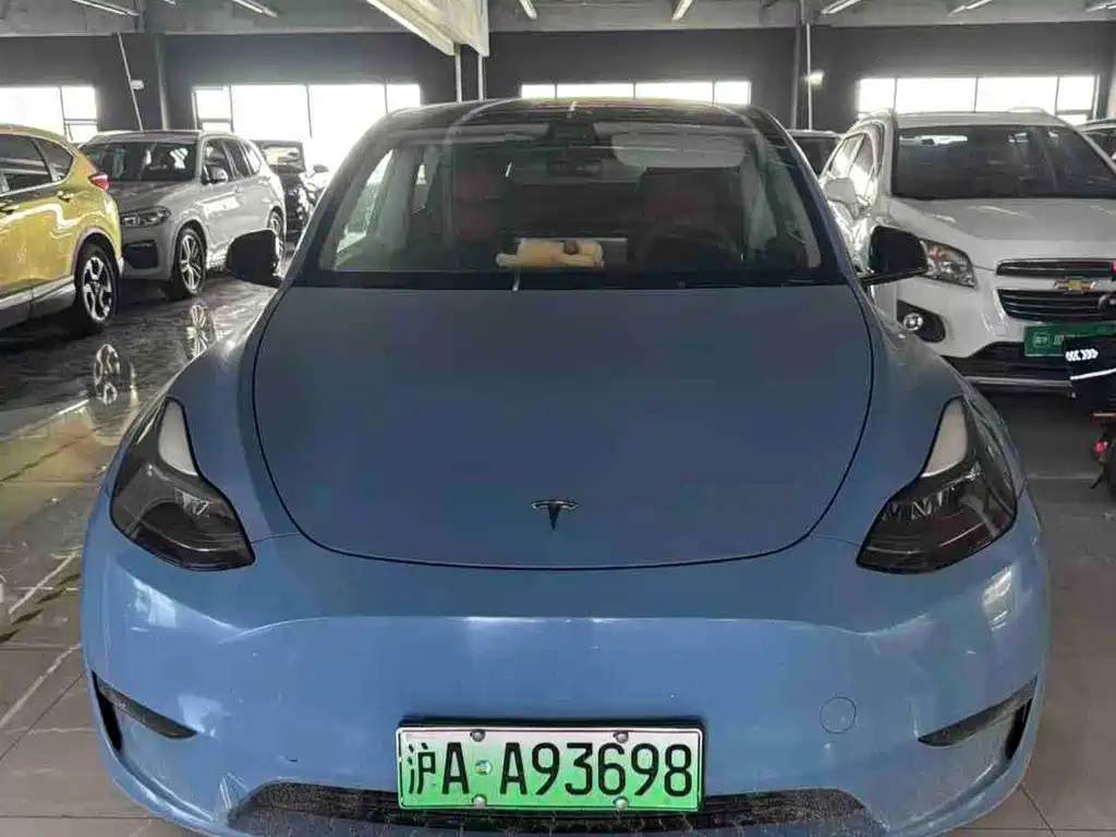 Tesla Model Y — миниатюра 2