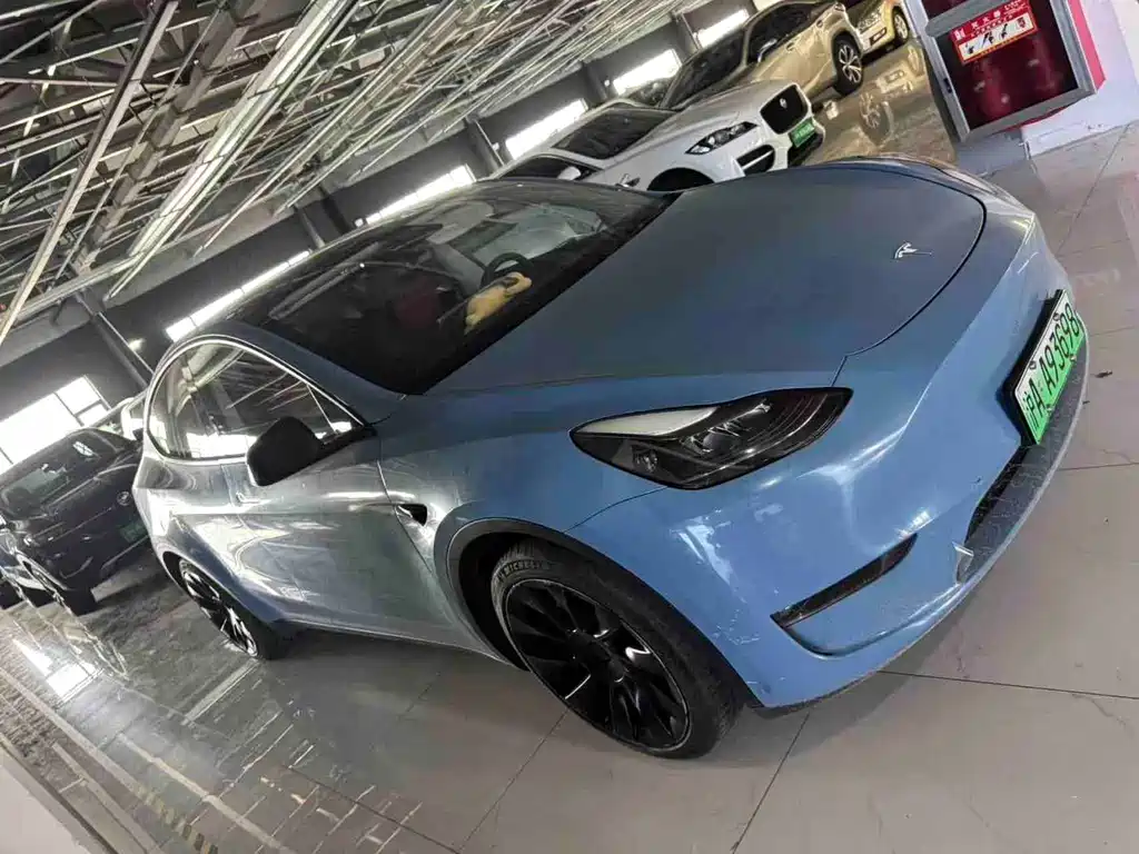 Tesla Model Y — миниатюра 3