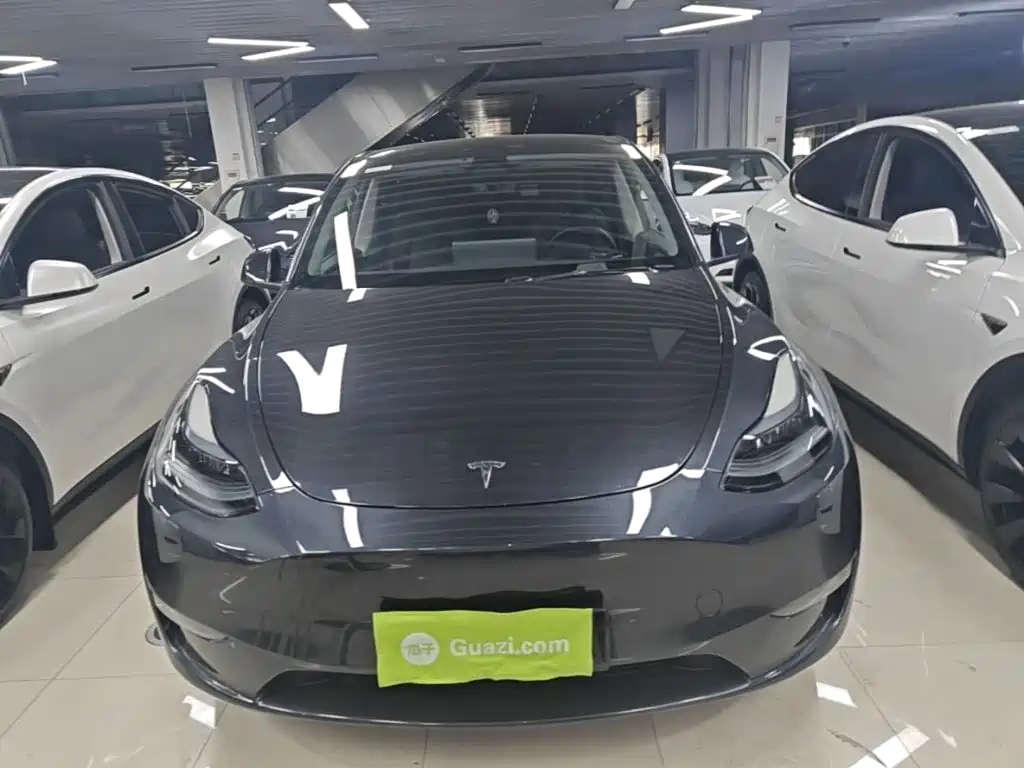 Tesla Model Y — миниатюра 3