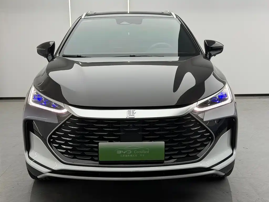 BYD Tang New Energy — миниатюра 2