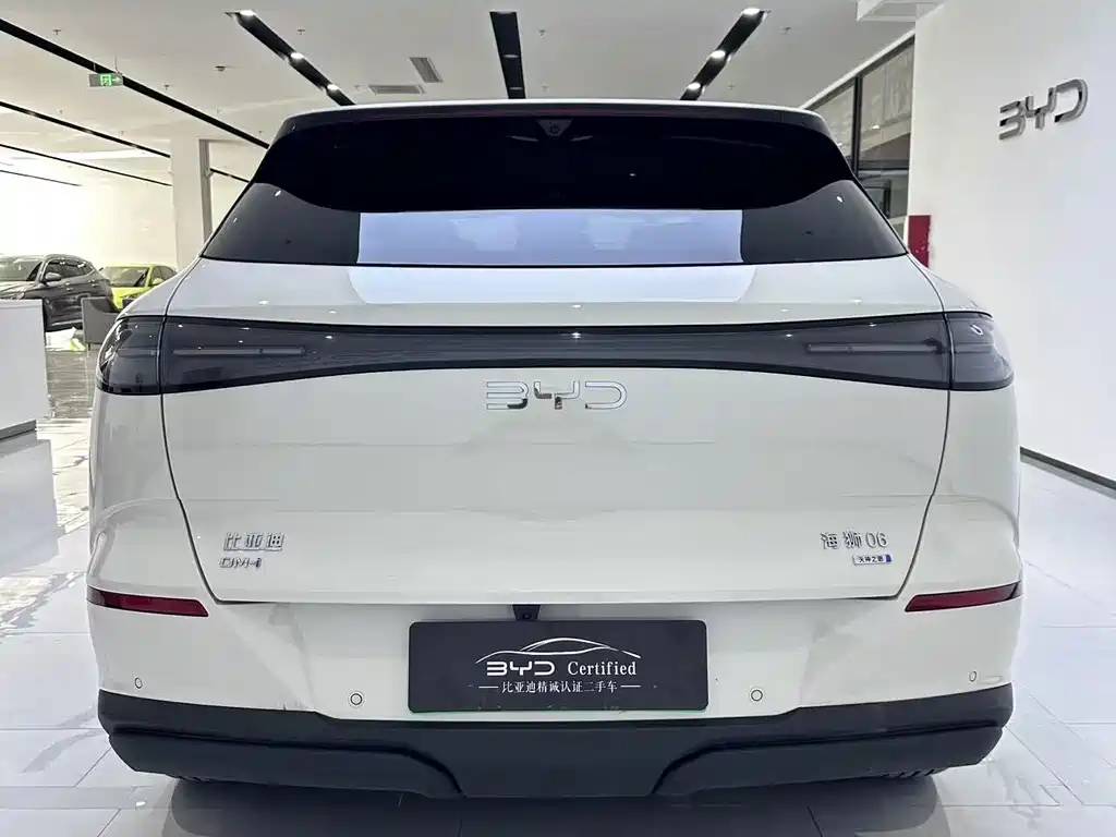 BYD Sealion 06 — миниатюра 10